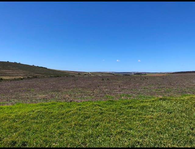 FARM FOR SALE IN BAARDSKEERDERSBOS